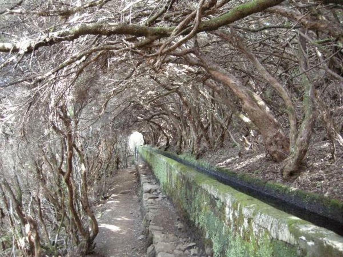 Casa Mao-Cheia Διαμέρισμα Arco da Calheta  Εξωτερικό φωτογραφία